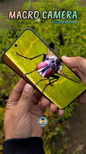 Vivo X300 Pro Macro Photography Test #mobilepapa #shorts