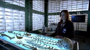 Dr. Kathy Reichs is a forensic anthropologist who used her years in the lab and academia to eventually create the popular character, Temperance Brennan. Tempe is based on the life and works of Kathy, and has spanned 19th novels, including the newest release, "A Conspiracy Of Bones." Dr. Temperance Brennan also became the lead character in the Fox TV show "Bones," that Kathy was a producer and script supervisor for, one of the most popular and long-running shows in the network's history. | Great 