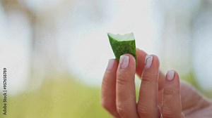 Macro footage of female hand holding cut piece of cucumber filmed outdoors. Closeup view of woman with green juicy vegetable. Concept of eating healthy products and keeping diet to lose weight