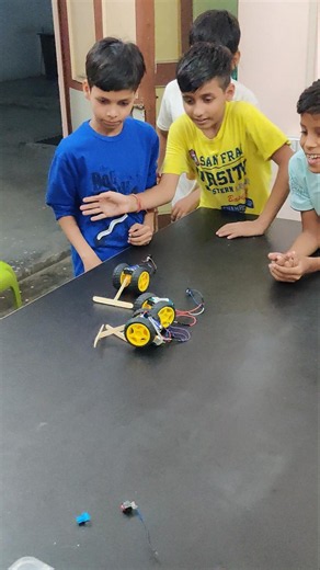stem Activity