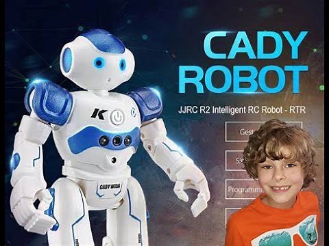 Cady Wida Robot