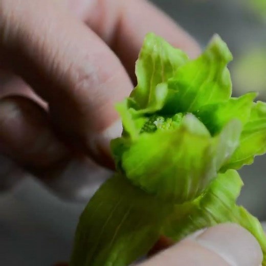 サックサク! ふきのとうの天ぷら揚げ方の手順とコツを詳しく解説【あんしんごはん料理ch】#Shorts