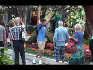 FALLING IN PUBLIC PRANK!!
