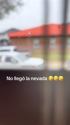 Understanding Venezuela's Live Incentive Programs