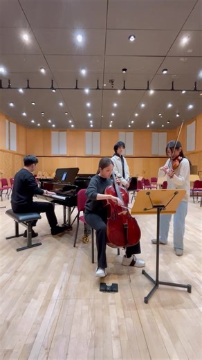 Musical Instrument Conversations: Cello vs. Piano