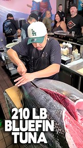 Another Bluefin Tuna cutting! Come by for 210lbs of beautiful, Bluefin Tuna & Toro! 😍 We can serve the Bluefin Tuna many different ways: sushi, sashimi, handrolls, or sushi rolls. We even have a carpaccio! Live stream of the cutting: https://www.youtube.com/live/6UmJidjJWrc Happy Hour is all day on Mondays & Tuesdays and from 2pm till 5pm Wed-Fri. Order for delivery or pick-up: https://order.online/store/sushi-world-cypress-48334 10953 Meridian Dr Cypress, California 90630 (714) 828-3474 www.Su
