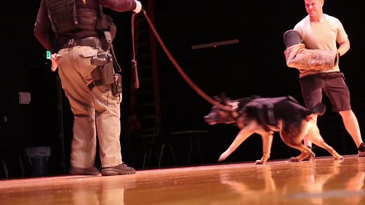 Hernando County Sheriff's Office on Reels