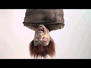 Zombie Bait - Spirit Halloween