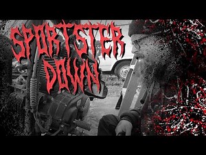 Sportster 883 Iron EFI Fix: Fuel Pump + O2 Sensors (PT.1) 🔧🏍️