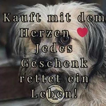 Jeder Kalender, Karte oder Sticker hilft heimatlosen Tieren! #animalwelfare #charitycalender