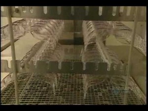 How It's Made Safety glass