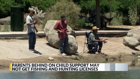 NM parents behind on child support could face hunting, fishing license delays