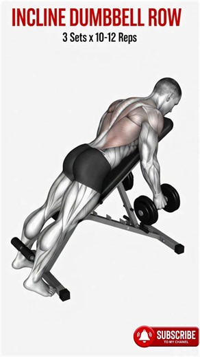 o This for a Bigger Back! (3 Sets Only) 📈🦾#MuscleBuilding #WorkoutInspo