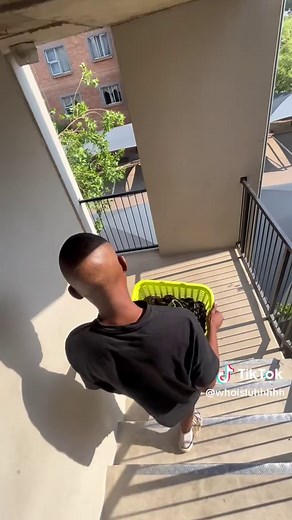 Efficient Laundry with Sunlight 5 in 1 | Long Lasting Fragrance