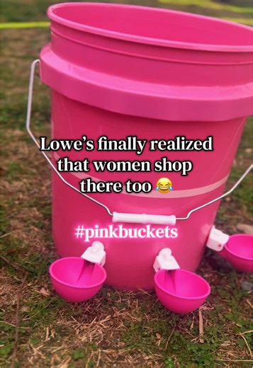 Creating DIY Chicken Feeders for Your Homestead