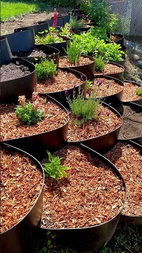 Stop Erosion & Save Water 🌱 Dirt Locker Hillside Gardening Hack