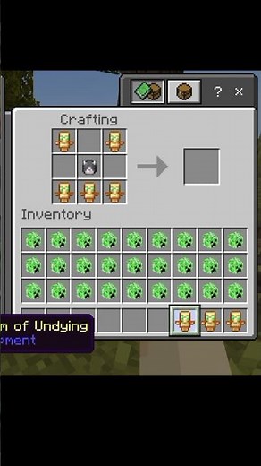 cat tutorial Minecraft