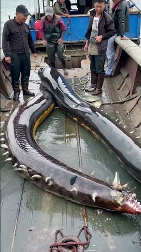 Giant sea worm is angry