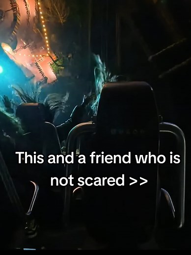 Exciting Roller Coaster Adventures with Friends