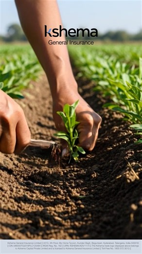 From seed to harvest, every step matters 🌱🌾 Kshema is here to shield your crops from unpredictable weather, so you can farm with confidence. ✅ Get insured. Stay secure. Call 1800 572 3013 for more info #cropinsurance #digitalinsurance #farmerprotection #weatherprooffarming #kshemageneralinsurance #secureharvest #kshema #farmersupport #farmsafety #cropprotection | Kshema General Insurance Limited