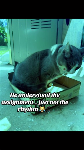 Missy Elliott Vibes or Nap Time? 💤🎧