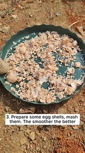 Detailed steps for preparing nutritious soil #gardeninggoals #gardeningistherapy #gardeningtips #gardeninglife #gardening_love #gardeninguk #gardening101 #gardeningtools #gardeningislife #gardeningtherapy #gardeningknowhow #gardeningseason #gardeningismytherapy #gardeningmakesmehappy #gardeningaustraliamag #gardeningday #gardeningideas #gardeningphoto | Gardening Dreamer