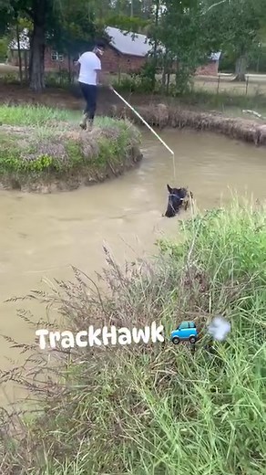 27K views · 5K reactions | Brandon Hunt on Reels | Facebook