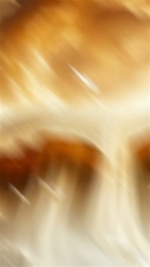 184K views · 8.1K reactions | How to read the Bible for beginners | Bibleepics | Facebook