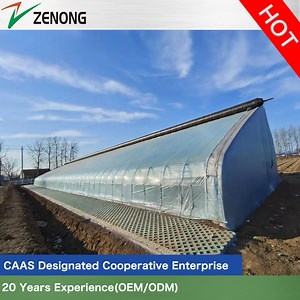 [Hot Item] ISO Certified Newly Developed Single Slope Sunlight Film/Polycarbonate Greenhouse for Vegetable/Seedlings/Hydroponics