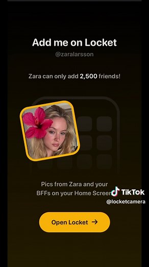 Connecting with Zara Larsson on Locket