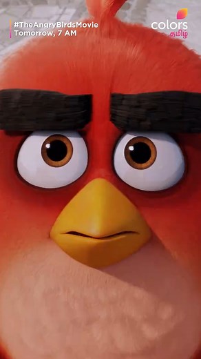 12K views · 43 reactions | Get ready to find out why the birds are so angry  #TheAngryBridsMovie2 | Tomorrow 7 AM on #ColorsTamil #PeterDinklage #JasonSudeikis | Colors Tamil | Facebook