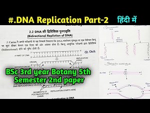 DNA Replication Part-2 || Bidirectional replication of DNA || Semiconservative replication of DNA
