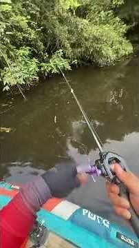 Title: Master the Art of Casting: Quick and Easy with Tail Spin Bait Rod
