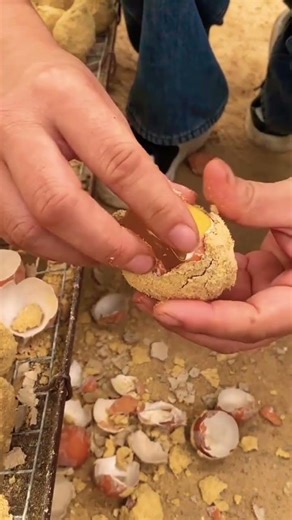 ৃBuilding Wooden Log Cabin in Forest | Survival House Step by Step"8#shorts #amazingfacts