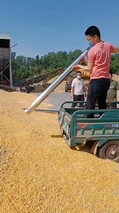 Grain suction machine | Denraks Machinery