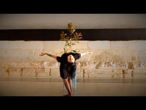 MYSTIC VELVET & MAGNOLIA - BIONIC FESTIVAL INTERBIOLOGICAL PERFORMING ARTS