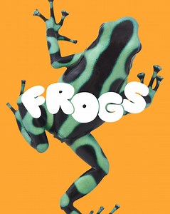 13K views · 387 reactions | Don't miss out on the colorful, strange, and rapidly changing world of frogs at the Aquarium of the Pacific's newest exhibit FROGS: Facing a Changing World! | Aquarium of the Pacific | Facebook