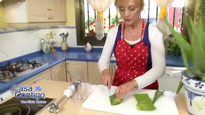 Aloe Vera: beneficios, propiedades y usos + para qué sirve