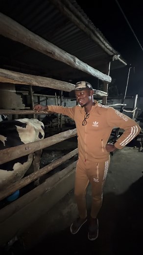 Small-Scale Dairy Farming: How Two Cows Can Change Your Income