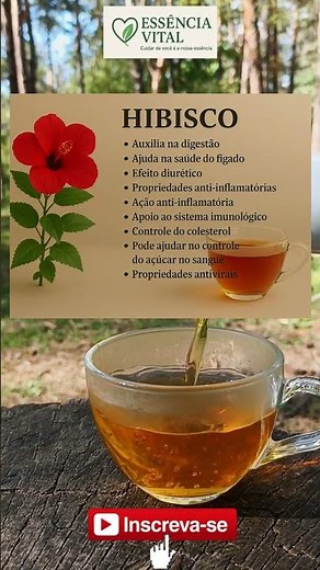 Chá de Hibisco 🍵 | Benefícios Poderosos para a Saúde #ShortsSaúde #DicasDeSaúde #VidaSaudável #Saúde