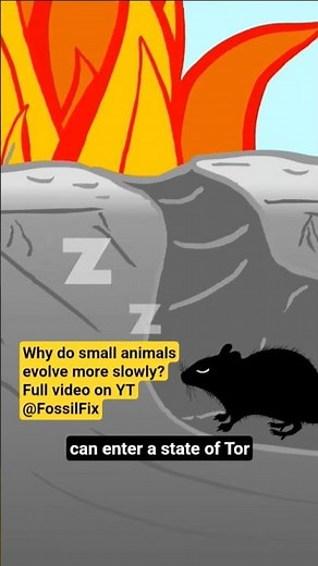 Why do small animals evolve slowly? #science #nature #animals #wildlife #biology #animation #fyp