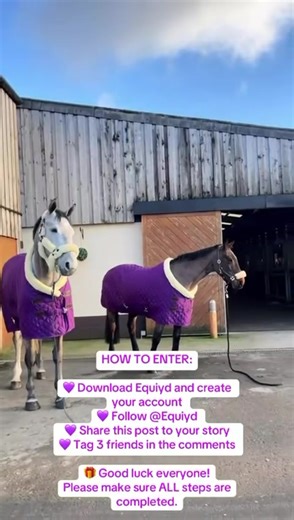 Kentucky Rug Giveaway: Last Chance to Enter!