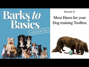 Ep. 21 - Must Haves for your Dog training Toolbox