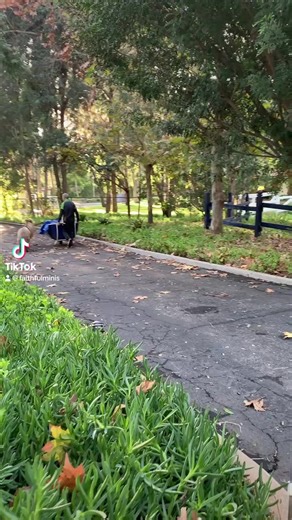 4.7K views · 229 reactions | Sky scams the ranch hand | Faithful Minus | Facebook