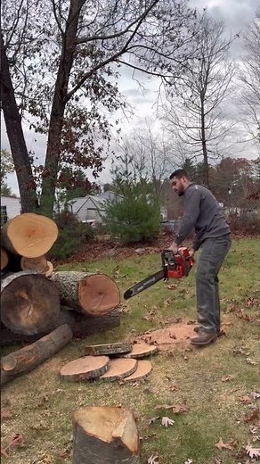 HUSQVARNA 372xp full build! is this the ultimate do it all saw? ##chainsaw #firewood #husqvarna