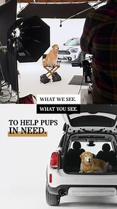 These pups were ready for their close-ups! #AdoptAMINI today to support shelter animals in your area. | MINI