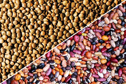 Beans vs. Lentils: Which One Is Better for You?