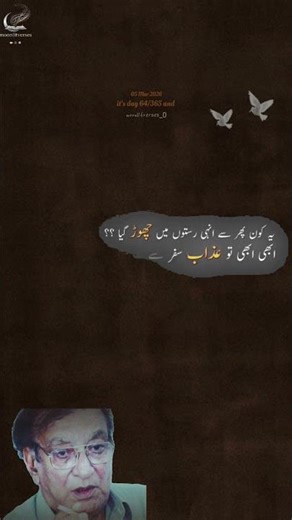 Choose Peace Over Drama | Day 64 | Shayari#day64 #365daysofshayari