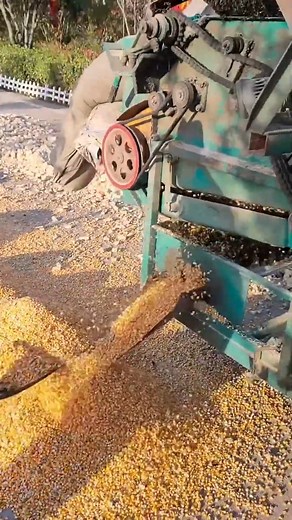 Convenient and Efficient Grain Separator. | SmartTech Daily