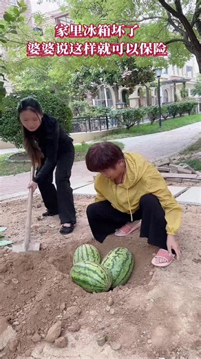 4.9K views · 16 reactions | #Popularity Incentive Program | Funny fun | Facebook